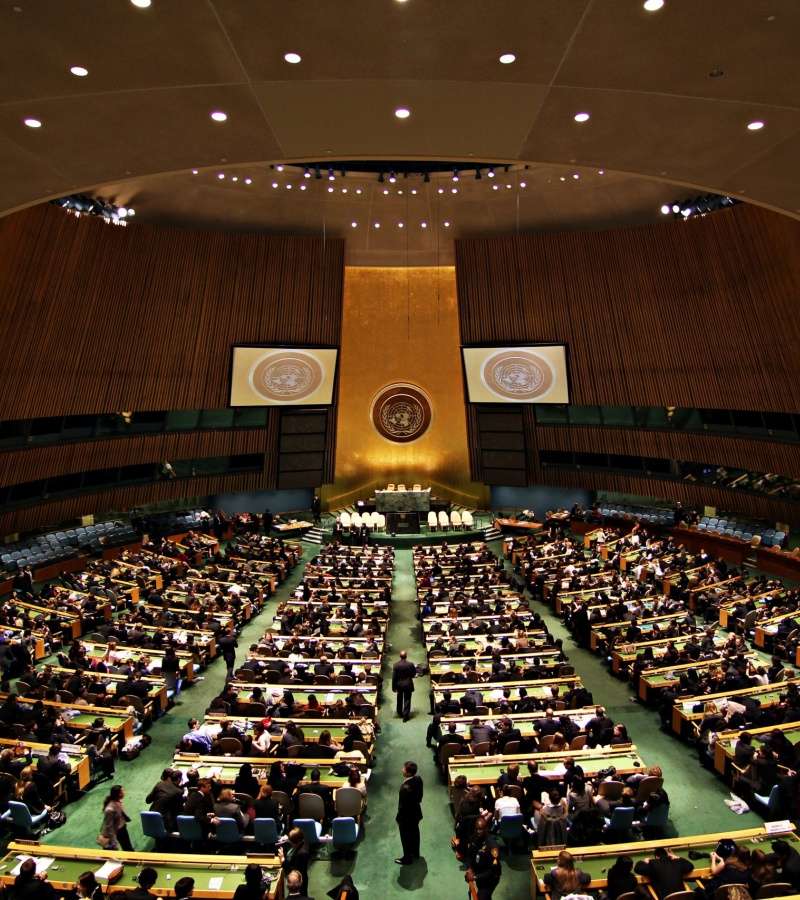 Il Consiglio di sicurezza dell'ONU